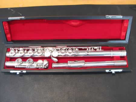 Pearl 501